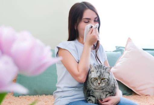 Αλλεργία στις γάτες: Πως να τη διαχειριστείτε χωρίς να αποχωριστείτε τη γάτα σας
